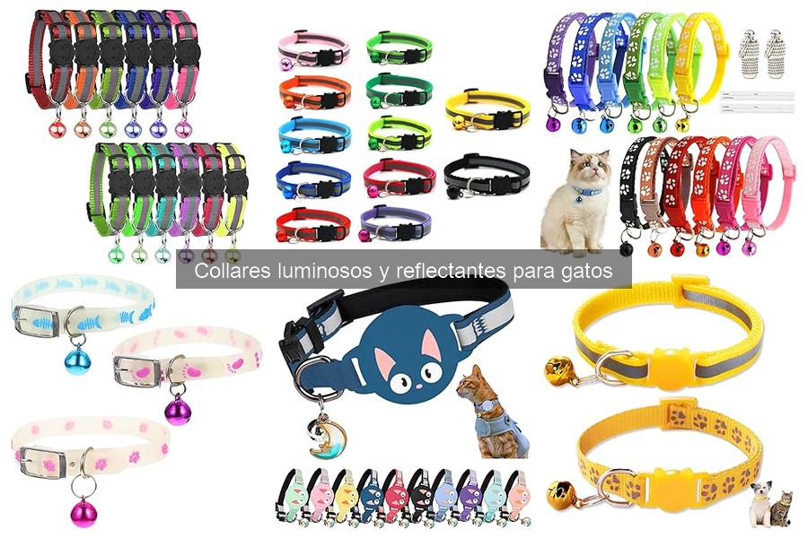 Collares luminosos y reflectantes para gatos: ¿Qué son y por qué son importantes?