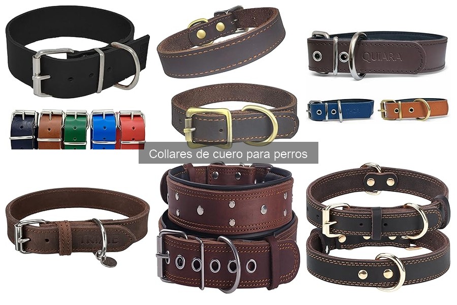 Colores y estilos en collares de cuero para perros