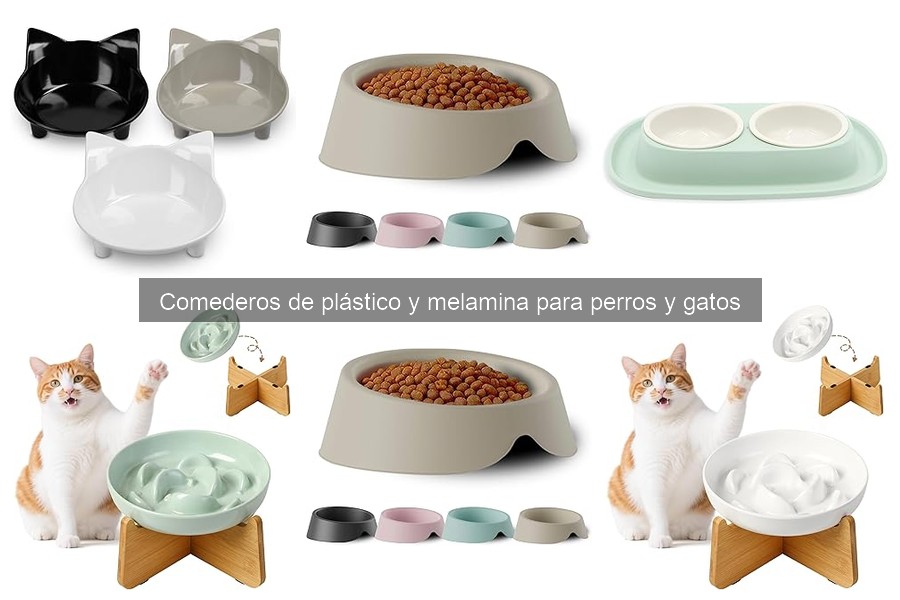 Comedero Elevado vs Estándar para Perros y Gatos: ¿Cuál Elegir?