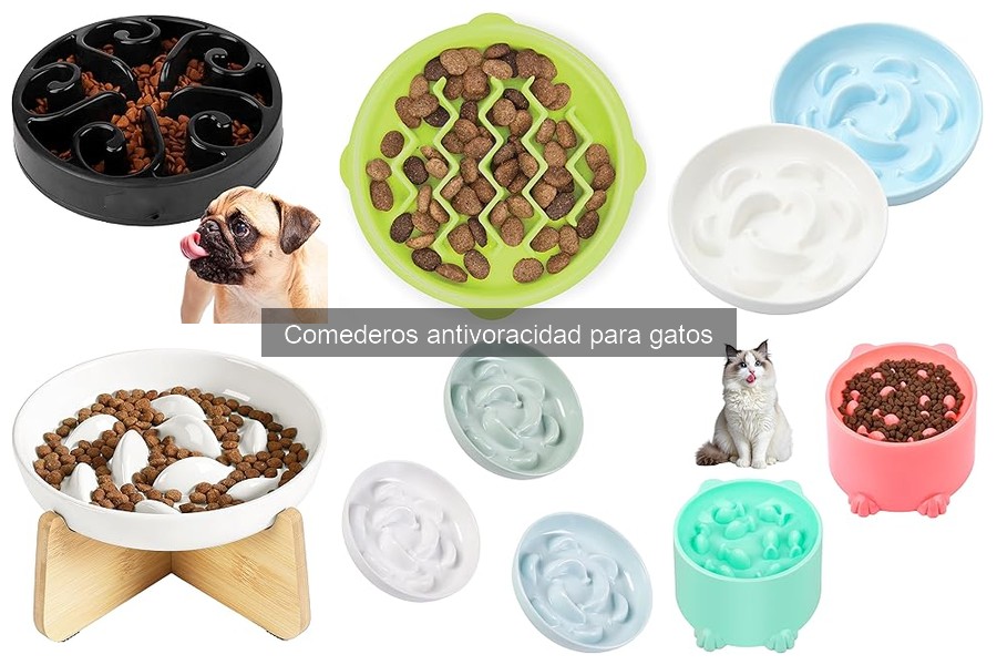 Comederos Antivoracidad para Gatos: ¿Qué Son y Cómo Funcionan?