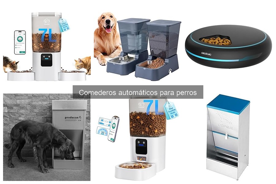 Comederos Automáticos vs Tradicionales: ¿Cuál Elegir?
