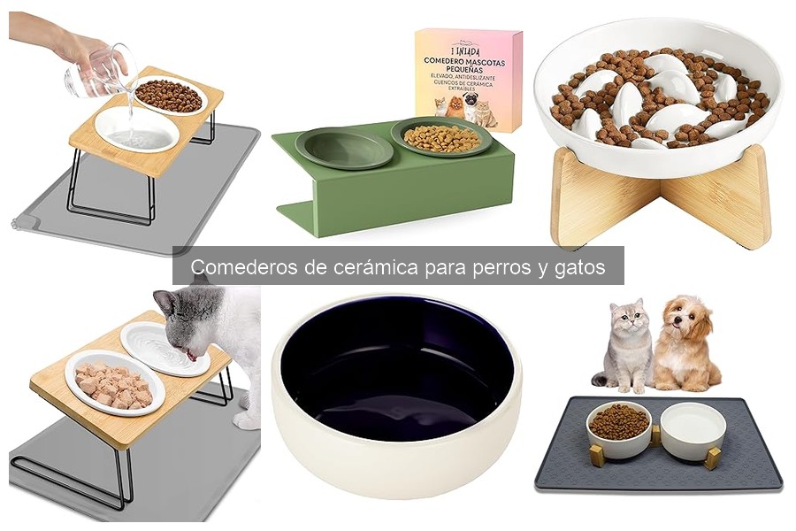 Comederos de Cerámica vs Acero Inoxidable para Mascotas