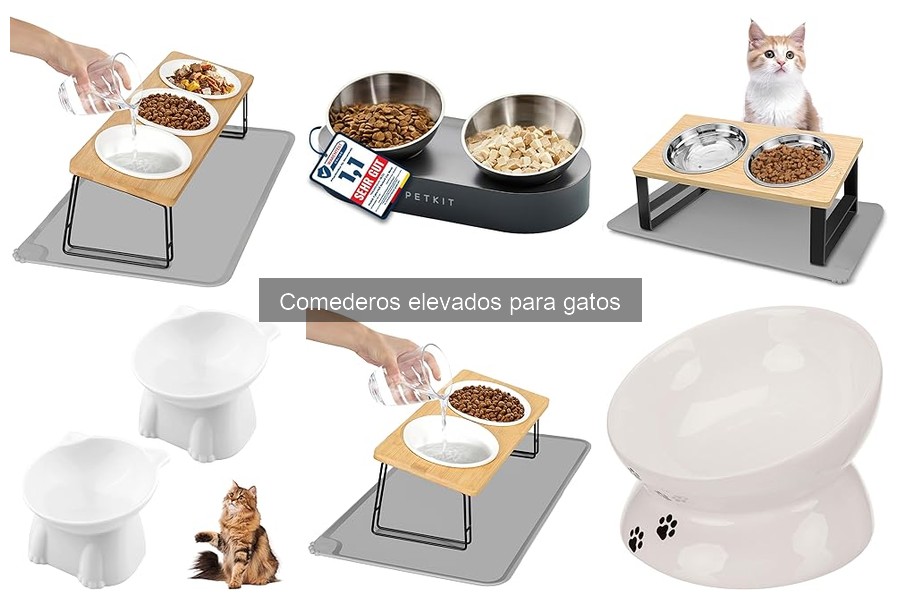 Comederos Elevados Automáticos para Gatos: ¿Realmente Funcionan?