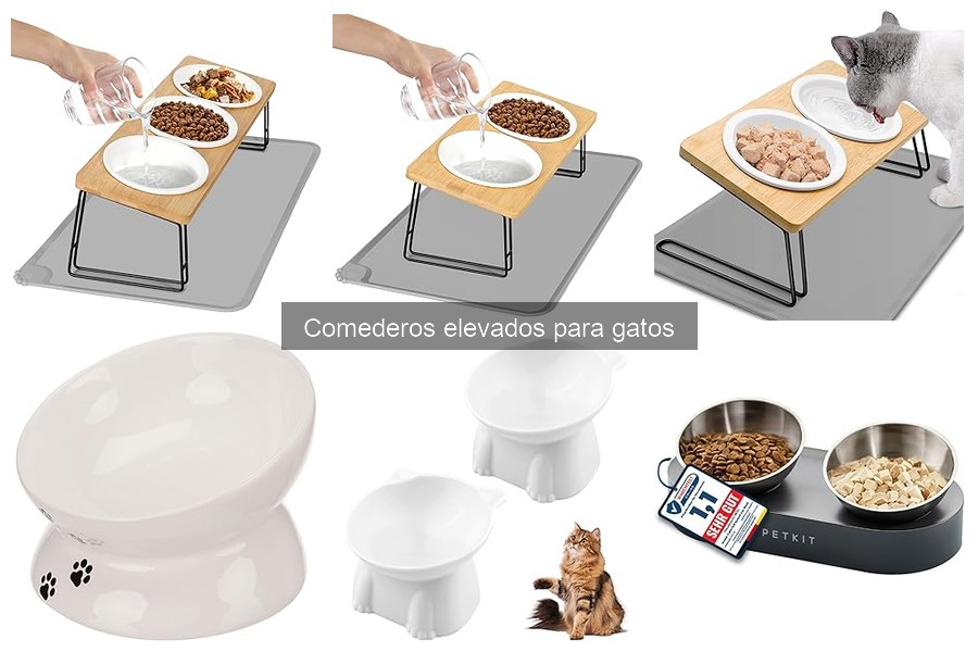 Comederos elevados: ¿son ideales para todos los gatos?