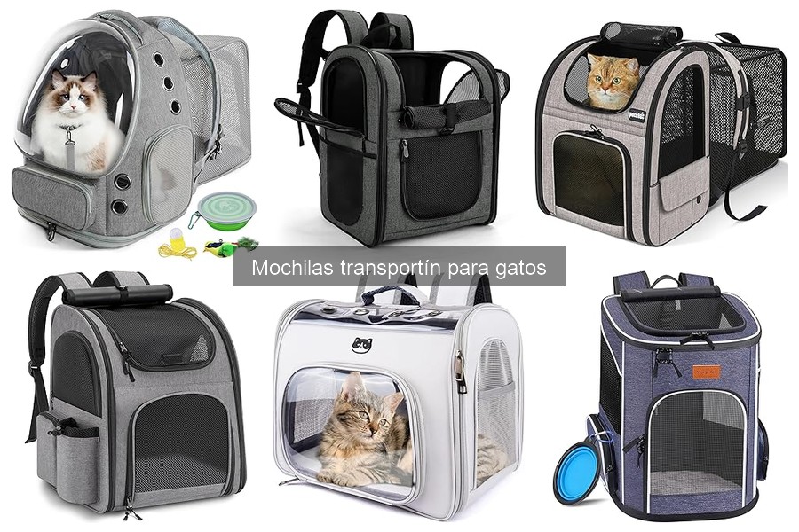 Cómo acostumbrar a tu gato a la mochila transportín