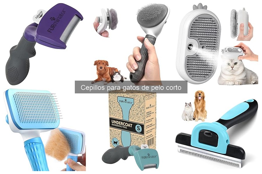 Cómo acostumbrar a tu gato al cepillado sin estrés