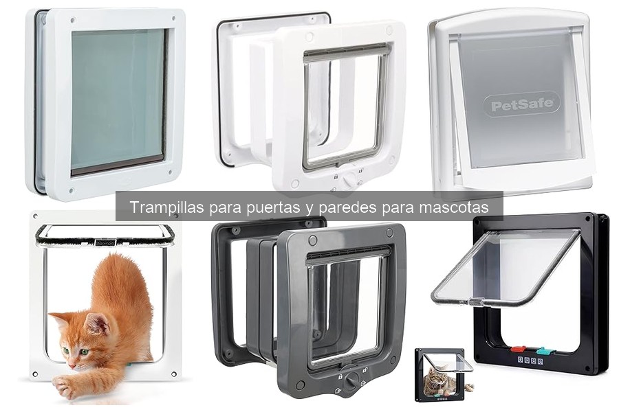 Cómo acostumbrar a tu mascota a usar la trampilla
