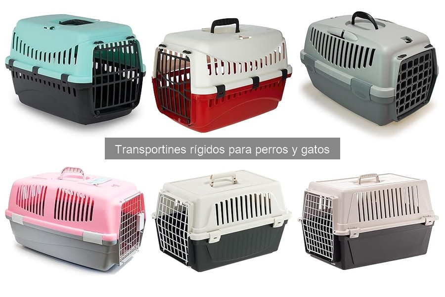 Cómo acostumbrar a tu mascota al transportín rígido