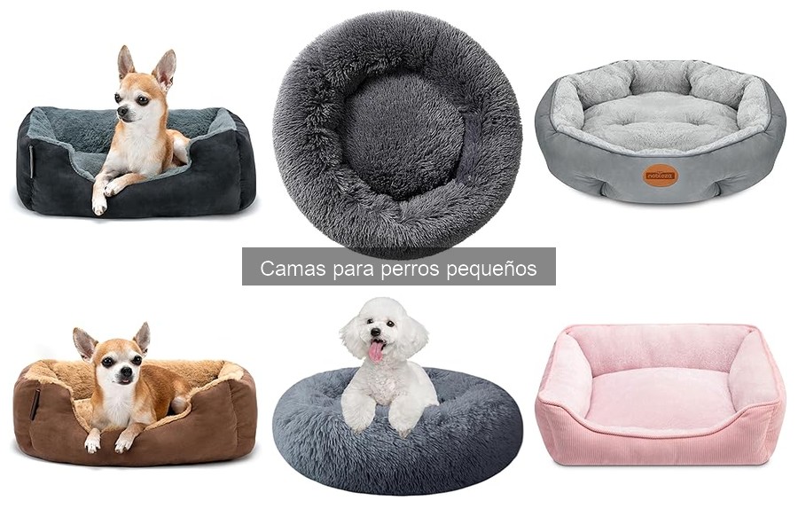 Cómo adaptar la cama de tu perro pequeño para todas las estaciones