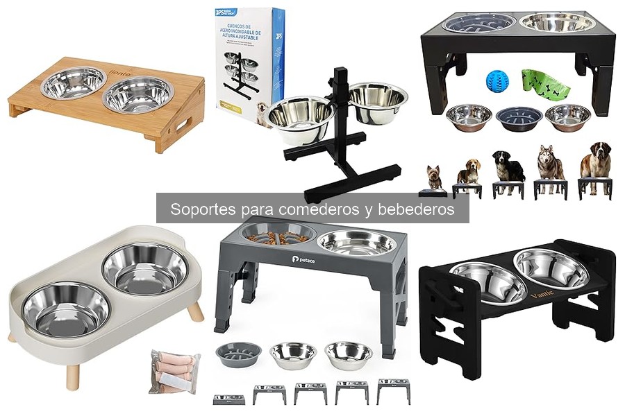 Cómo adaptar soportes para comederos y bebederos a mascotas con necesidades especiales
