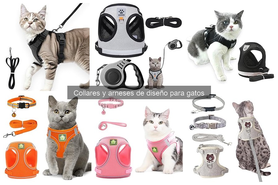 Cómo Ajustar Collares y Arneses de Diseño para Gatos