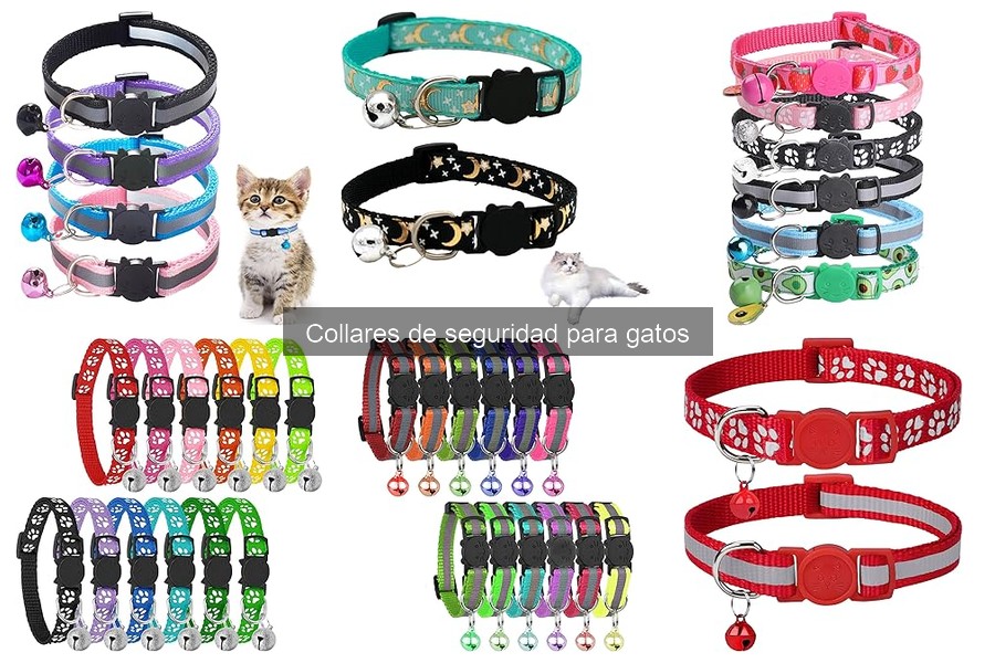 Cómo Ajustar Correctamente el Collar de Seguridad para Gatos