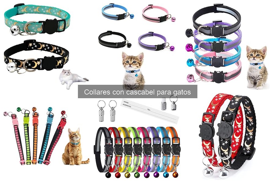 Cómo ajustar correctamente un collar con cascabel a tu gato