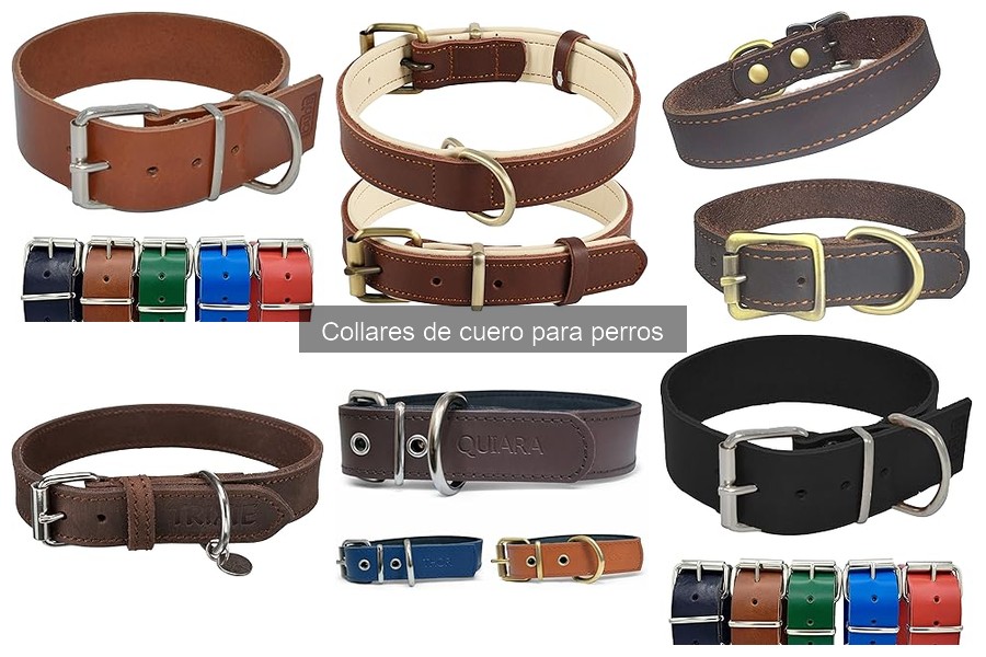 ** Cómo ajustar correctamente un collar de cuero para perros