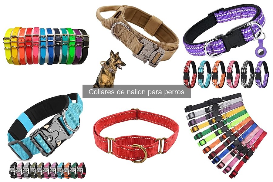 Cómo ajustar correctamente un collar de nailon para perros