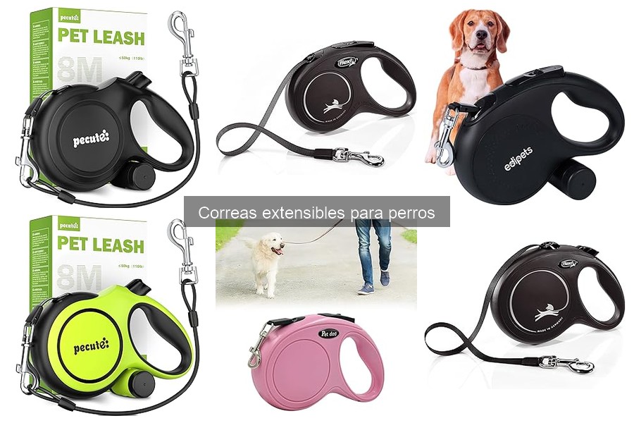 Cómo ajustar correctamente una correa extensible para perros