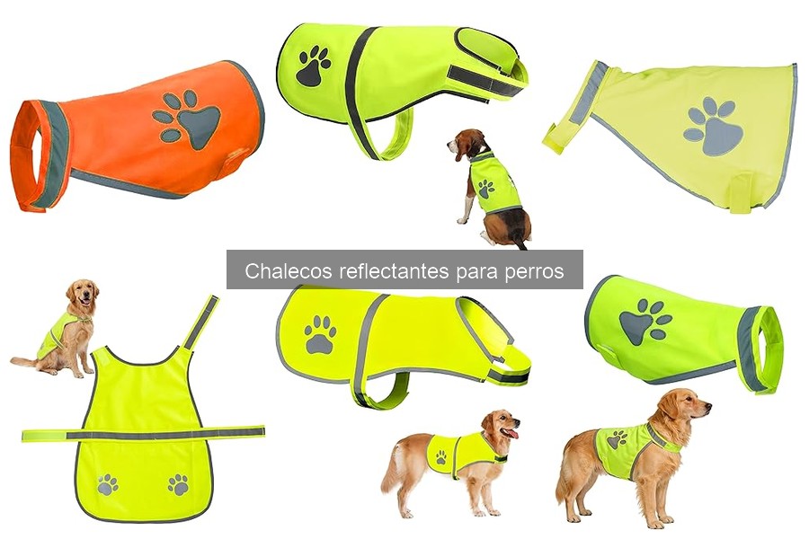 Cómo ajustar un chaleco reflectante para perros correctamente