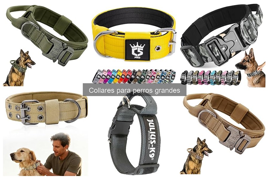 Cómo ajustar un collar para perros grandes correctamente