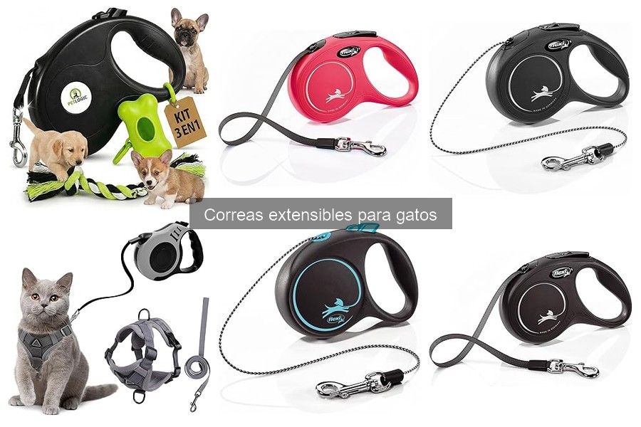 Cómo almacenar correctamente una correa extensible para gatos