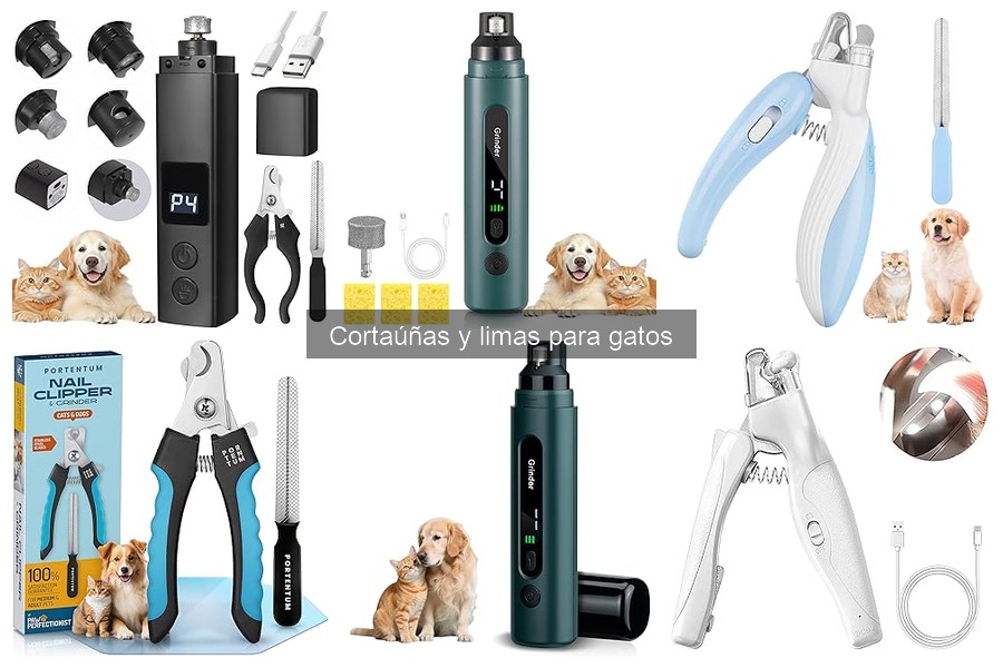 Cómo ayudar a tu gato con miedo al cortaúñas