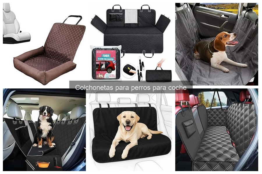 Cómo ayudar a tu perro a adaptarse a la colchoneta del coche
