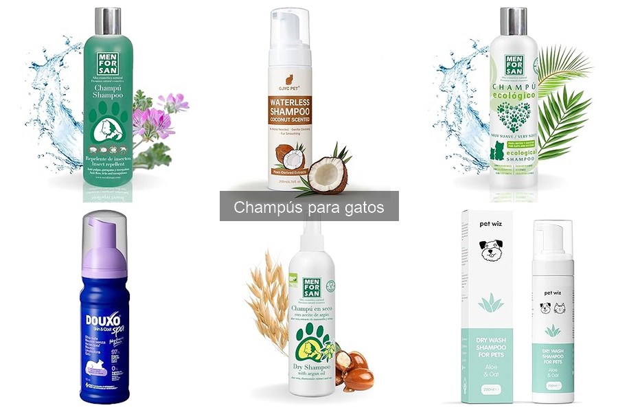 Cómo bañar a un gato correctamente: guía práctica