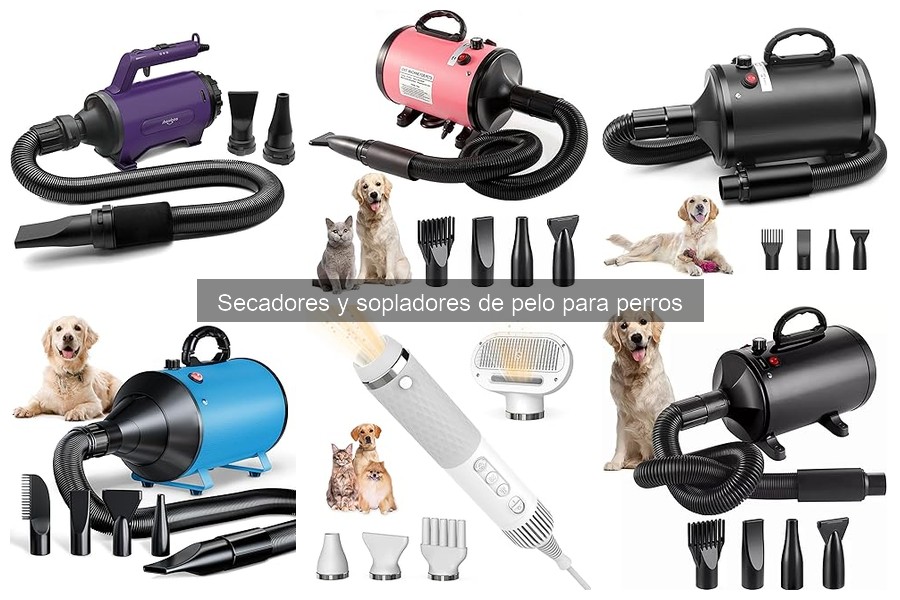 Cómo calmar a un perro nervioso al secarle el pelo