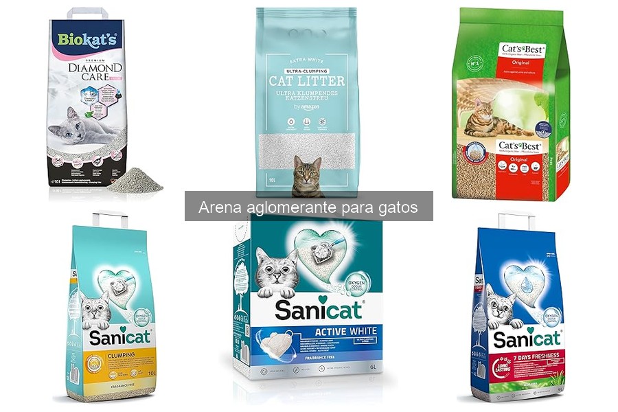 Cómo cambiar a arena aglomerante para gatos sin estrés