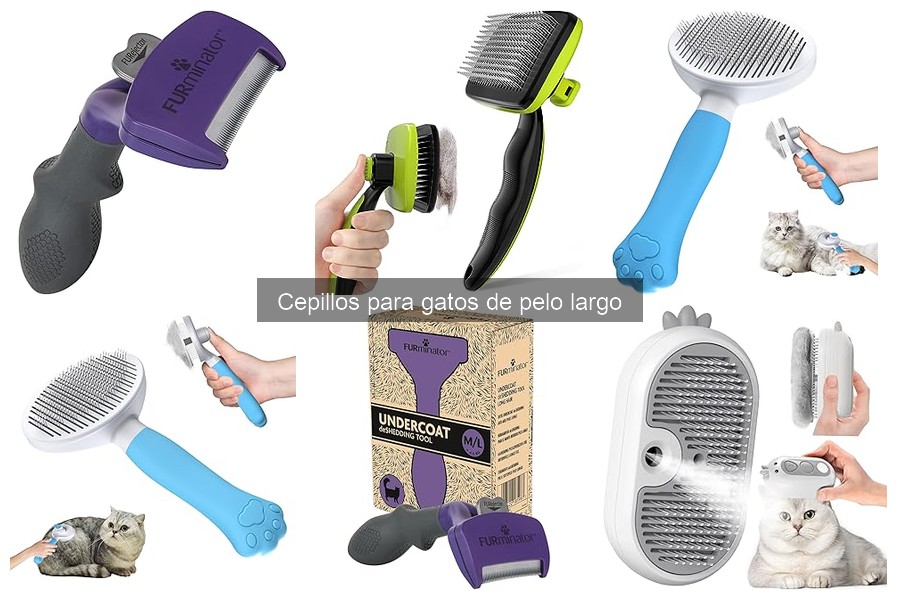 Cómo cepillar correctamente a tu gato de pelo largo