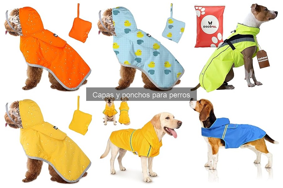 Cómo colocar correctamente una capa o poncho a tu perro