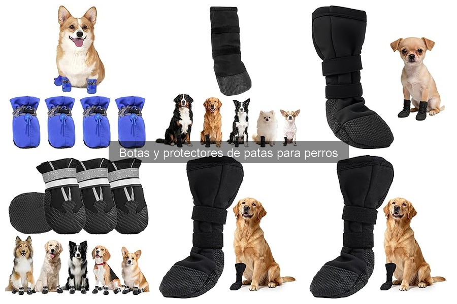 Cómo colocar y ajustar las botas para perros correctamente