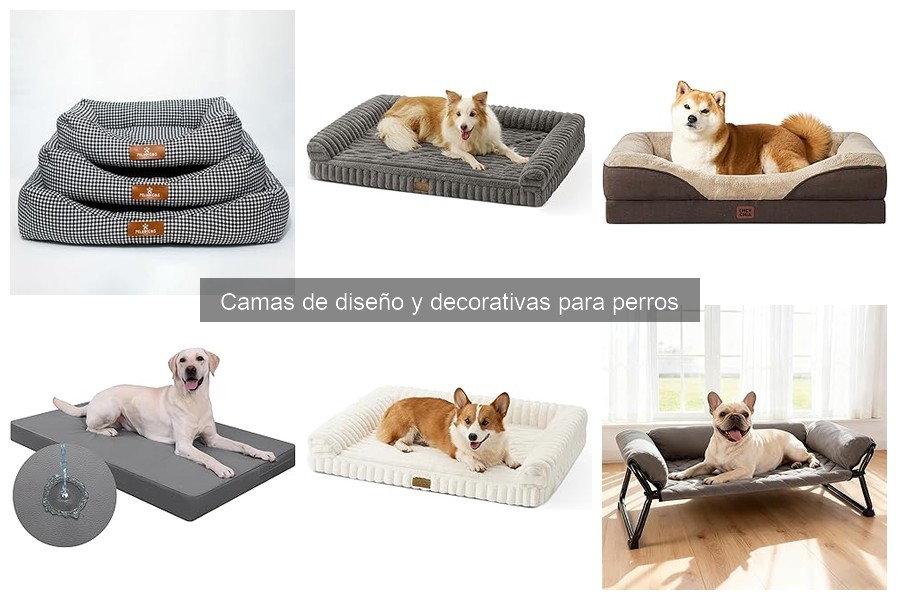 Cómo cuidar camas de diseño para perros destructivos