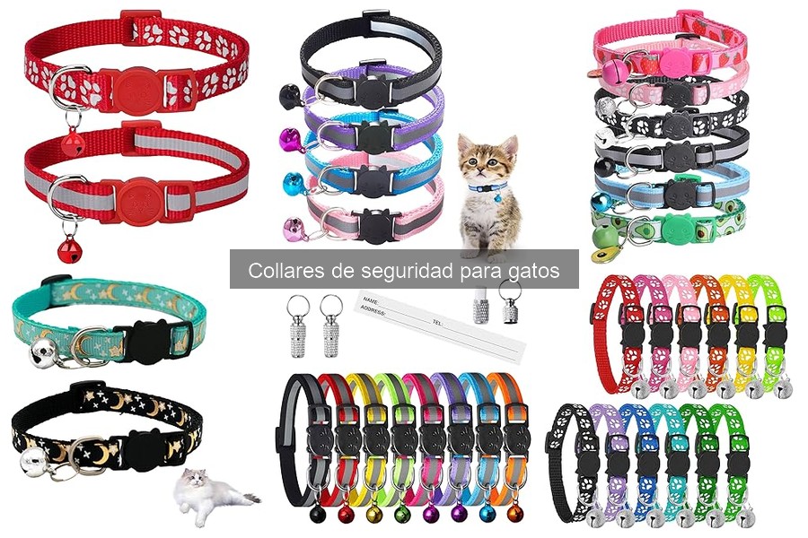 Cómo cuidar el collar de seguridad para gatos: consejos útiles