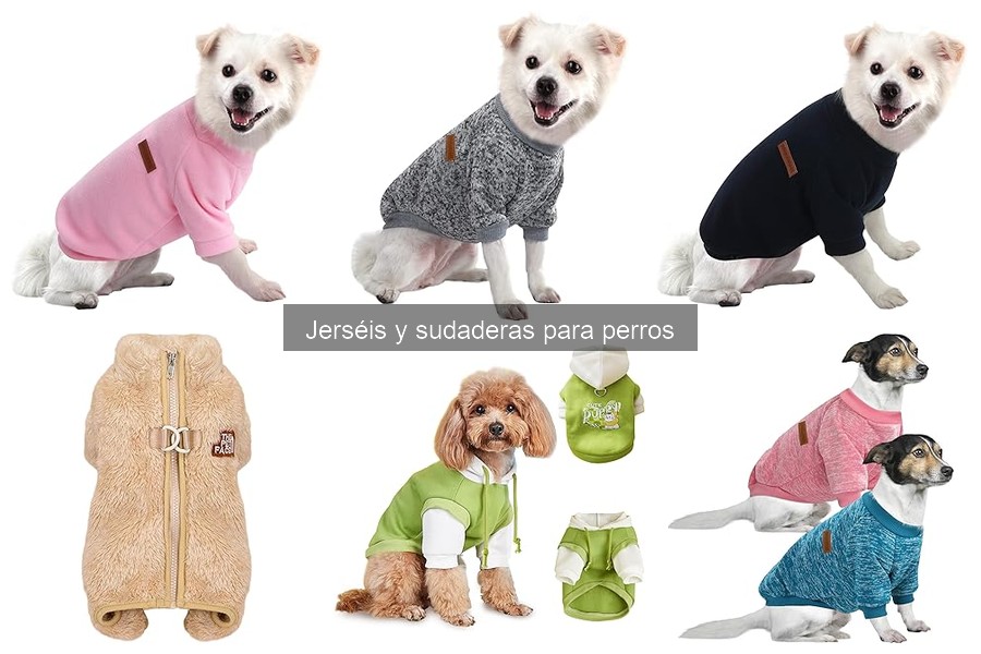 Cómo cuidar los jerséis y sudaderas de tu perro