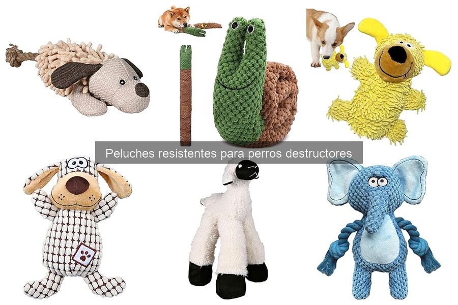 Cómo cuidar peluches resistentes para perros destructores