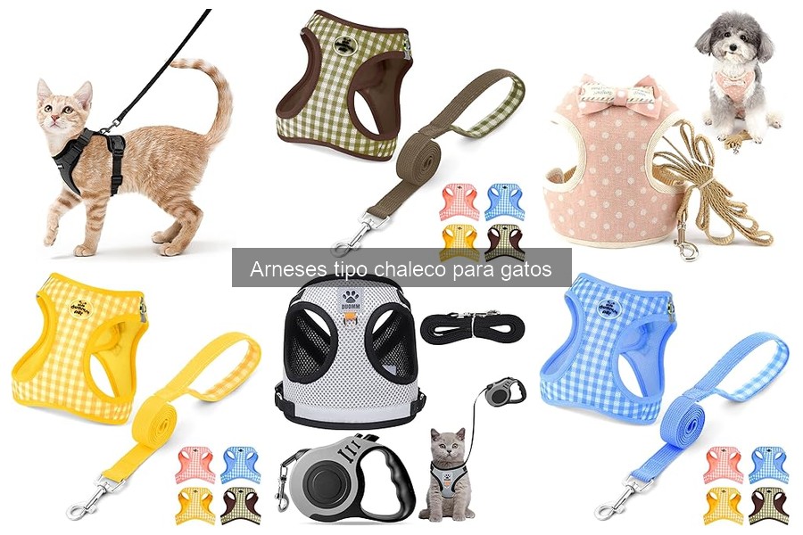 Cómo cuidar tu arnés tipo chaleco para gatos adecuadamente