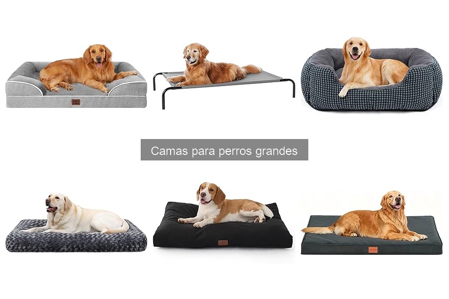 Cómo cuidar y mantener camas para perros grandes