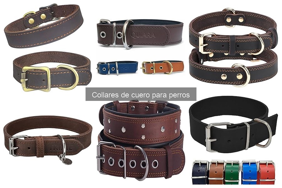 Cómo cuidar y mantener collares de cuero para perros