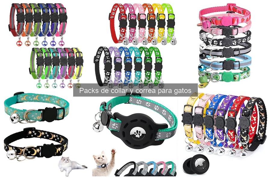 Cómo cuidar y mantener collares y correas para gatos