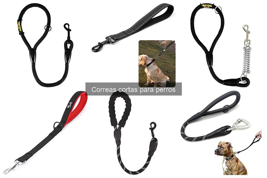 Cómo cuidar y mantener correas cortas para perros