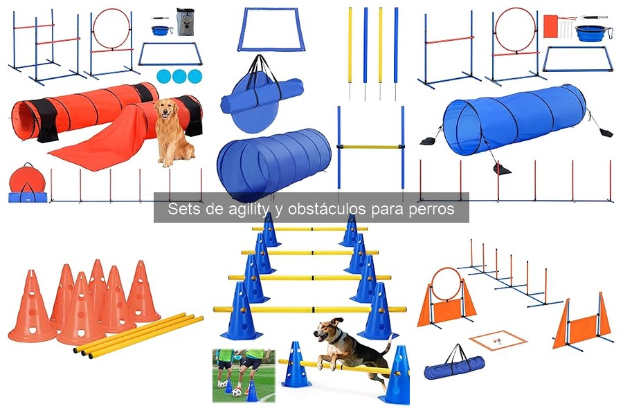 Cómo cuidar y mantener un set de agility para perros