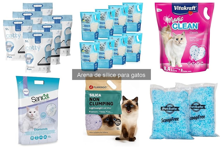 Cómo deshacerse de la arena de sílice para gatos de forma ecológica