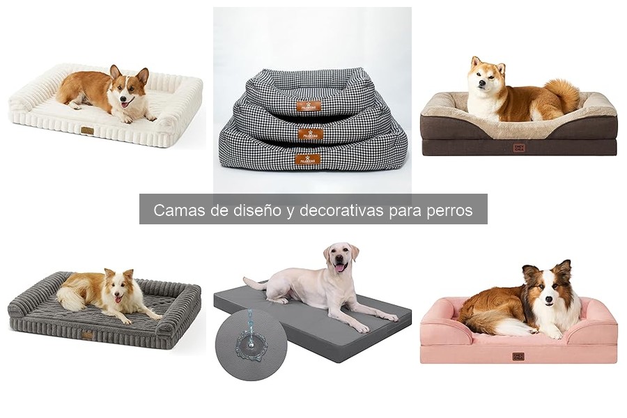 Cómo elegir camas decorativas para perros según su personalidad