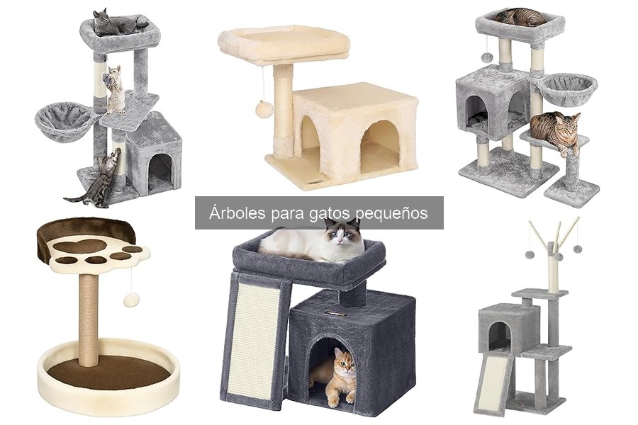 Cómo elegir el árbol ideal para tu gato pequeño