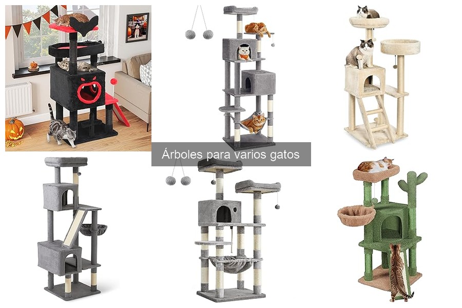 Cómo elegir el árbol para gatos adecuado: guía de compra