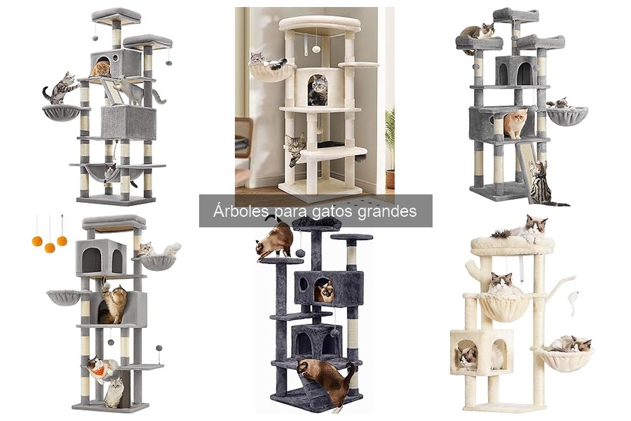 Cómo elegir el árbol perfecto para gatos grandes