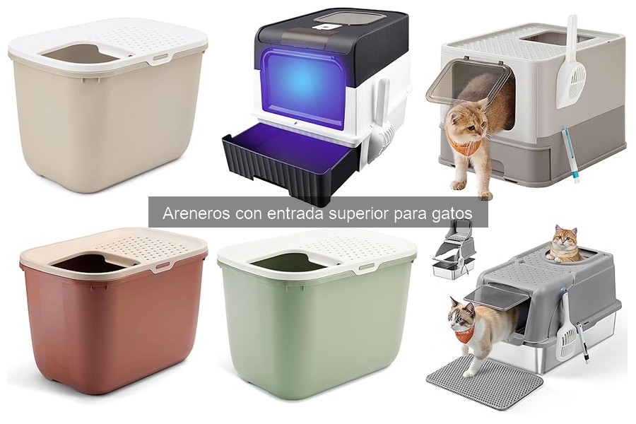 Cómo elegir el arenero con entrada superior ideal para tu gato