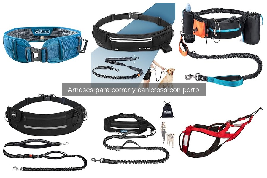 Cómo elegir el arnés adecuado para canicross