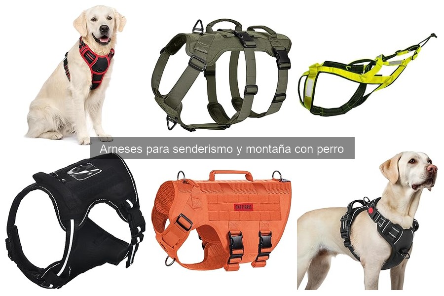 Cómo Elegir el Arnés Ideal para Senderismo con Tu Perro