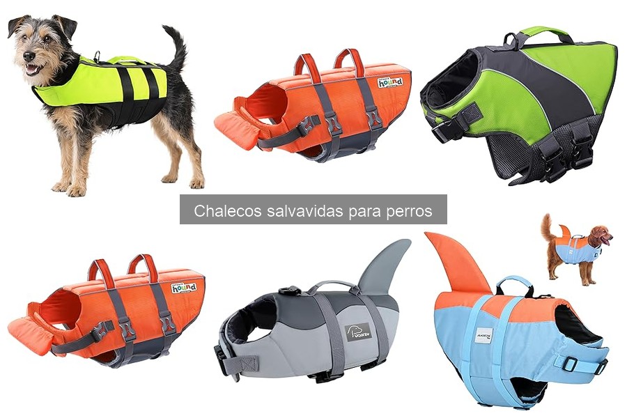 Cómo elegir el chaleco salvavidas ideal para perros